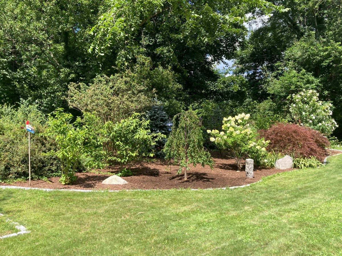 Tree Garden Planting